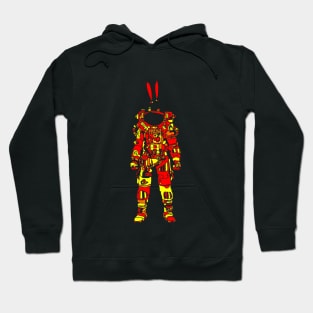 Sun Astro Bunni Hoodie